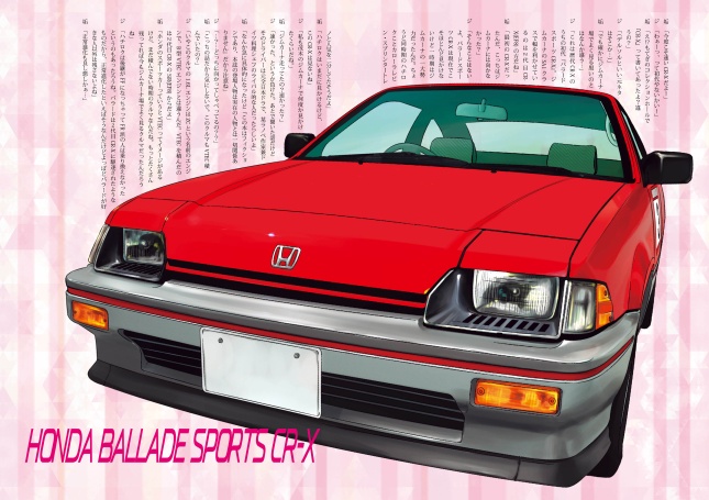 気になる車にゼッケンを貼る本【送料最安クリックポストでお届け!】