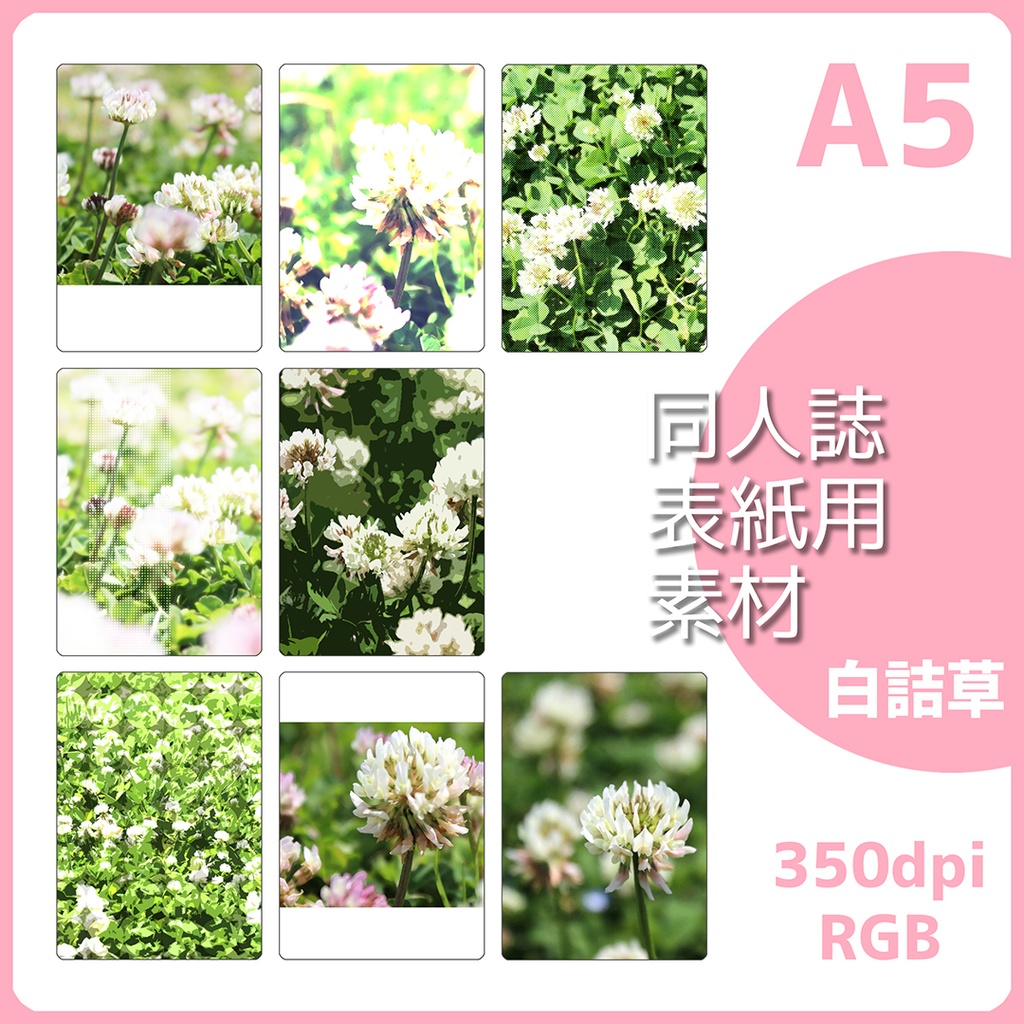 表紙用背景素材 シロツメクサ