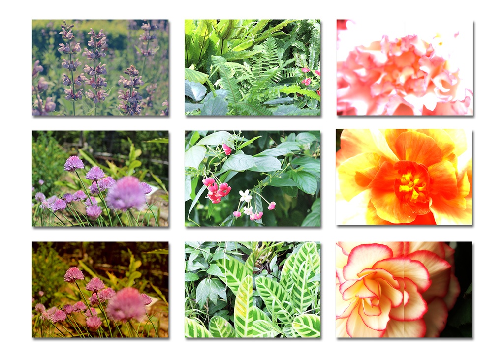 表紙用背景素材 11