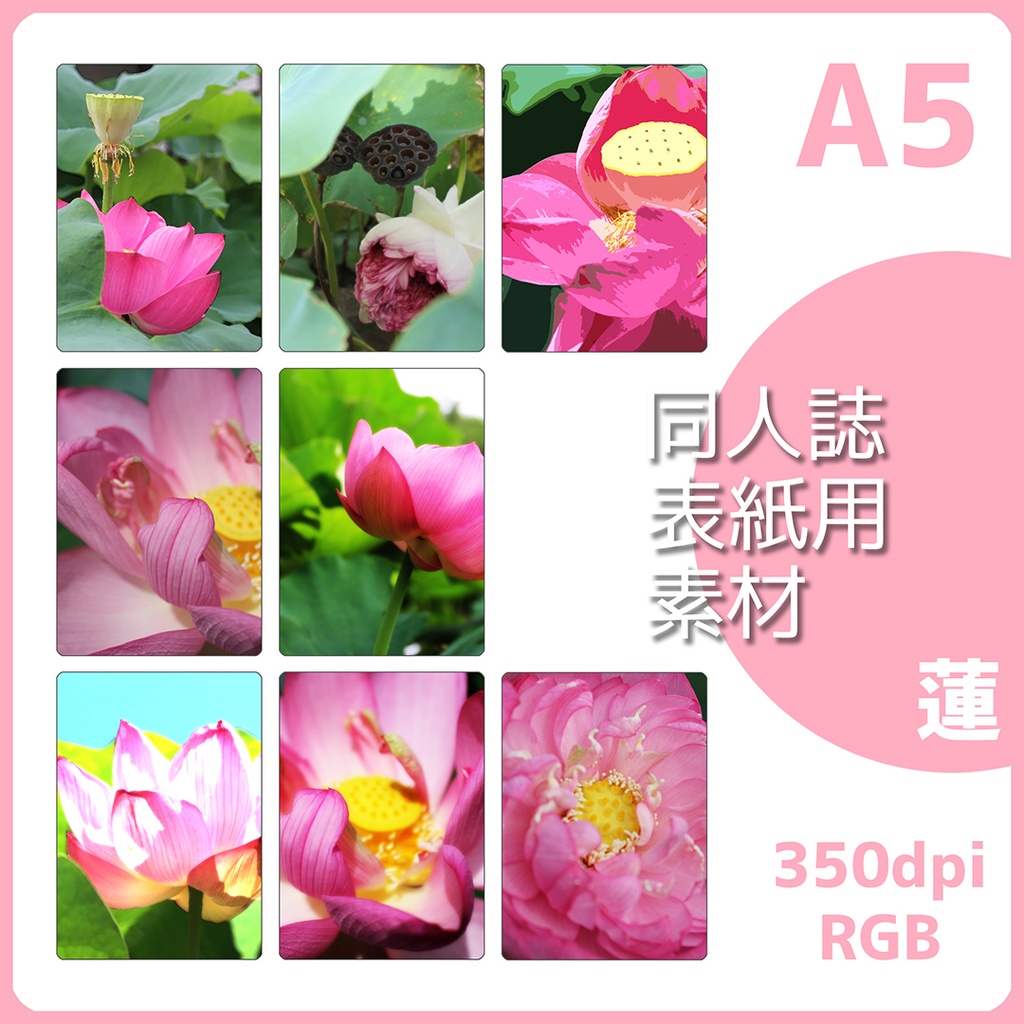 表紙用背景素材　蓮の花