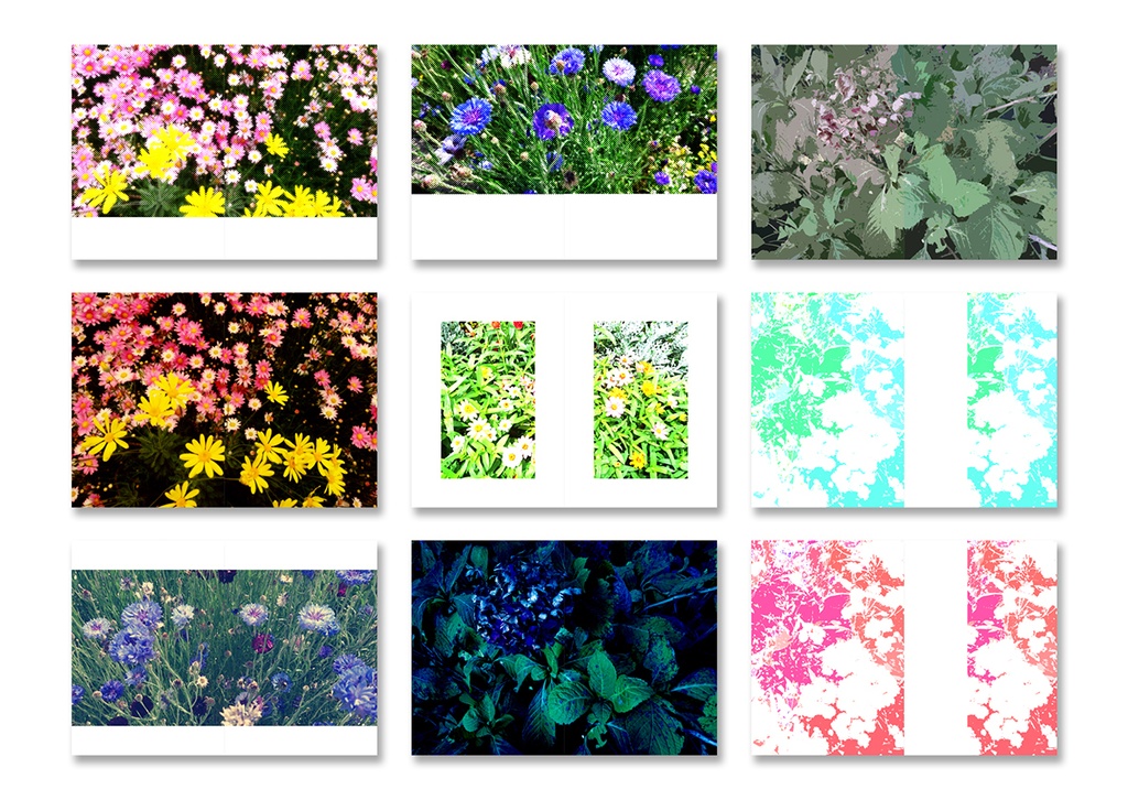 同人誌表紙用素材 花