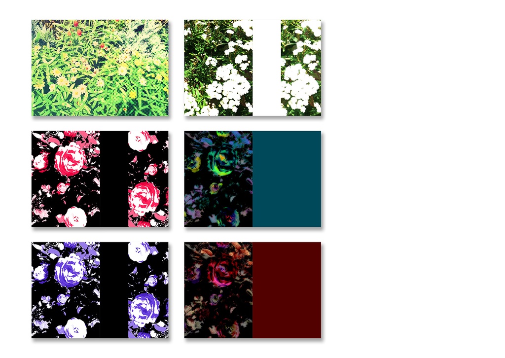 同人誌表紙用素材 花