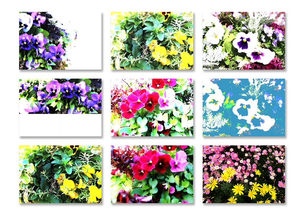 同人誌表紙用素材 花