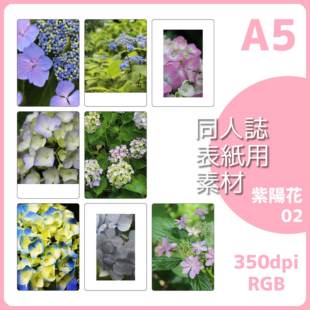 同人誌表紙用素材 紫陽花02