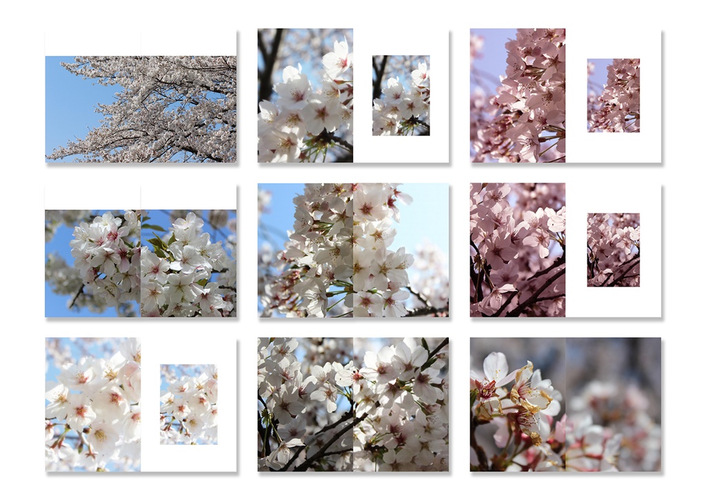 同人誌表紙用素材 桜04