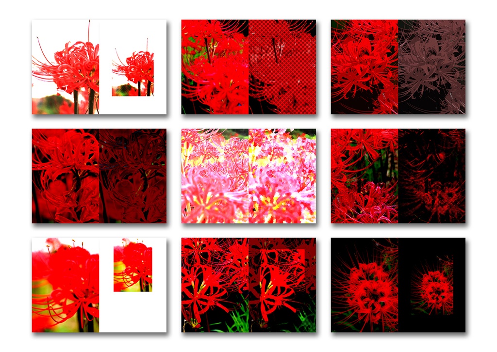 同人誌表紙用素材 彼岸花