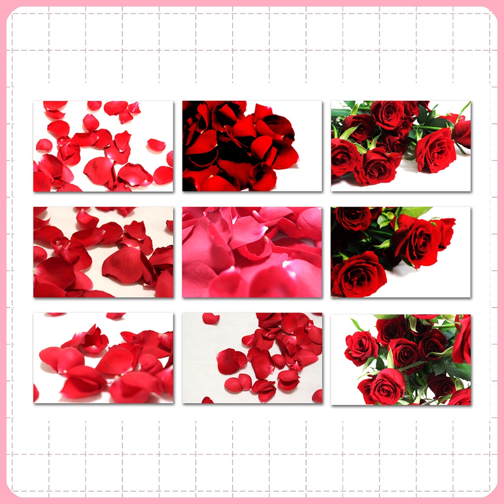 同人誌表紙素材 ローズペタル