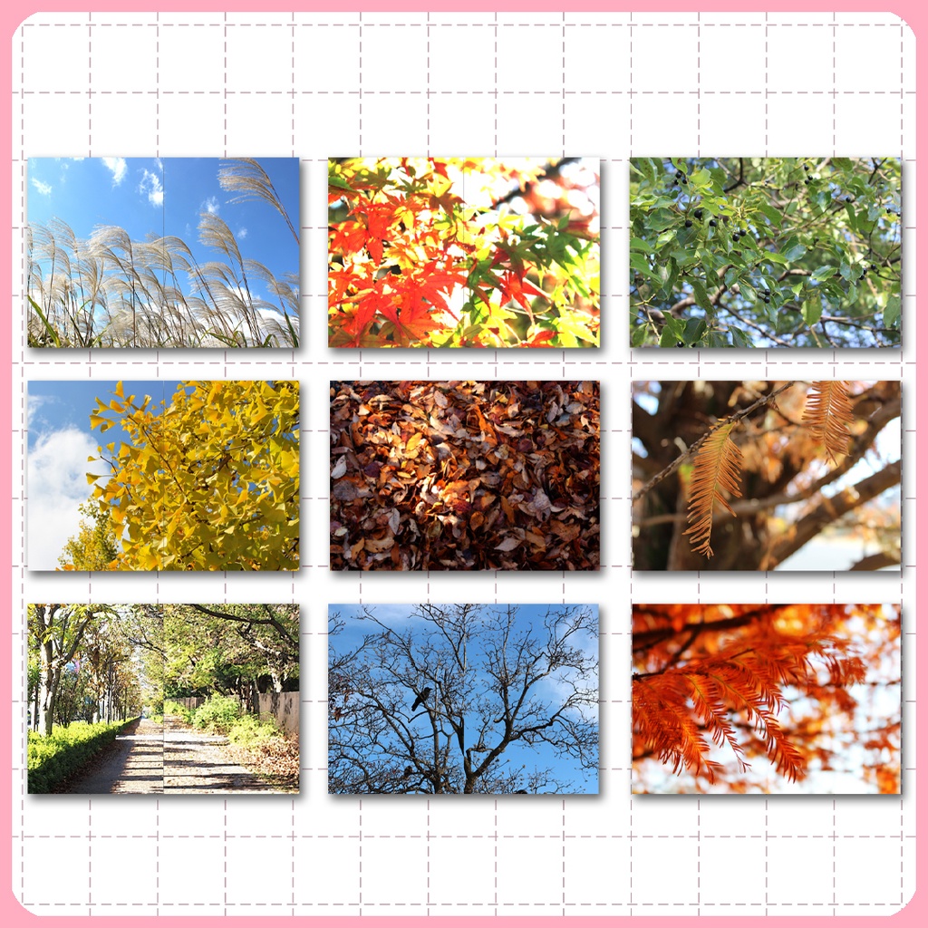 同人誌表紙用素材 秋