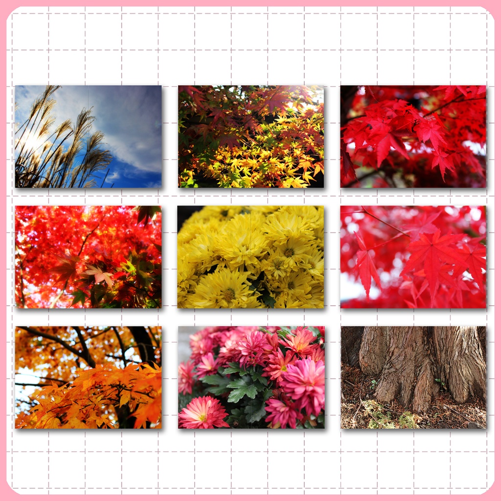 同人誌表紙用素材 秋