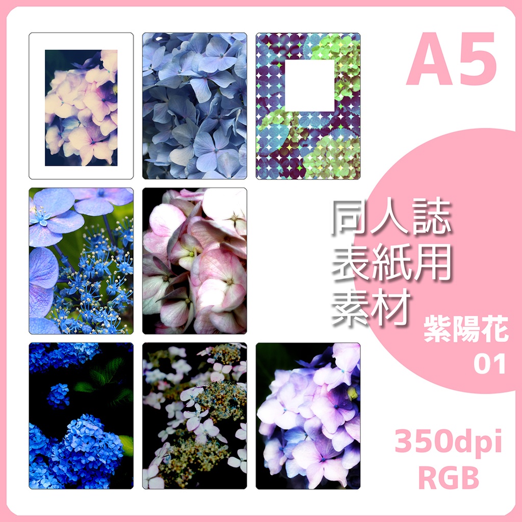 表紙用背景素材 紫陽花 01