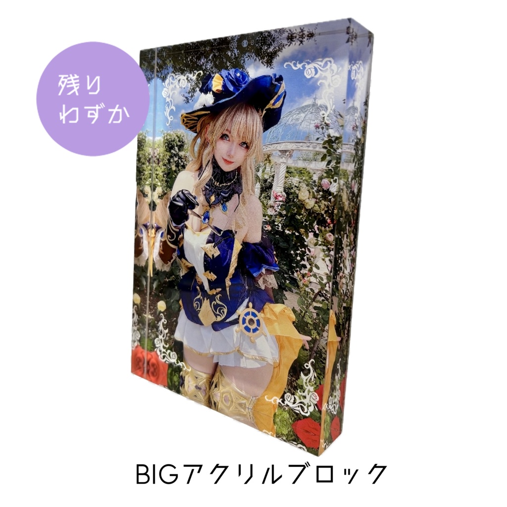 【残りわずか・再販なし】ナヴィアアクリルパネル