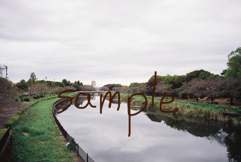公園にて