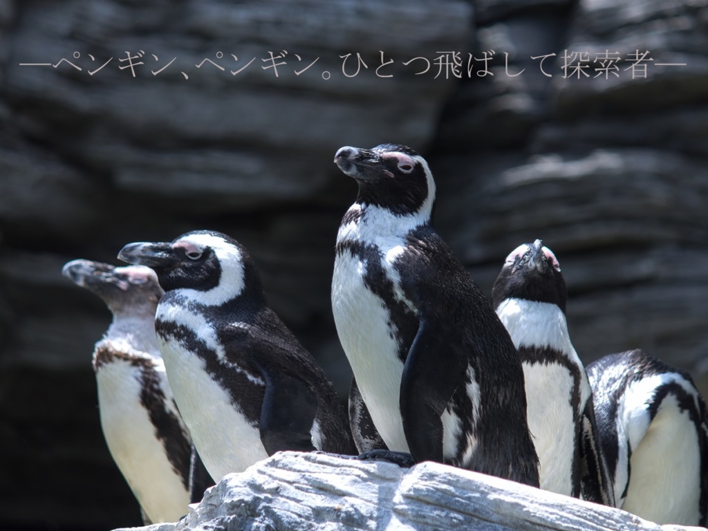【CoCシナリオ】ペンギン広場の探索者