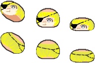 バデーニ ピクリエアバター