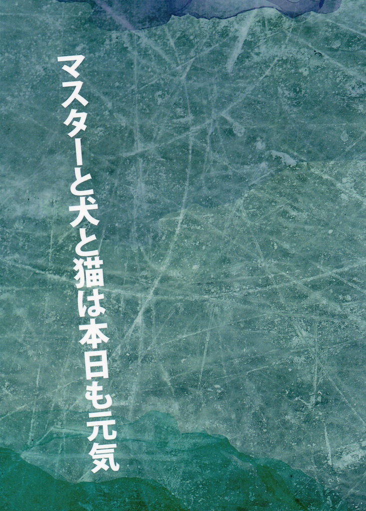 マスターと犬と猫は本日も元気
