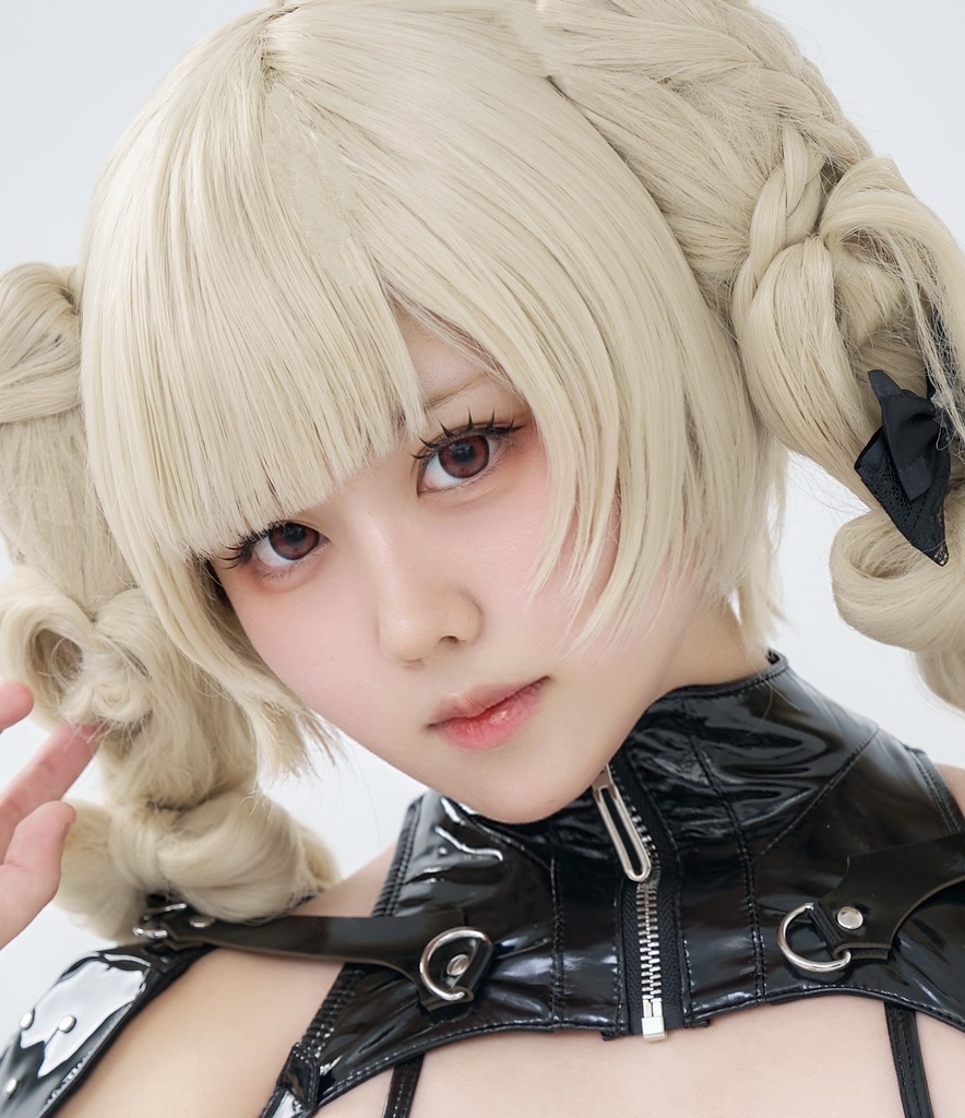 Grossy Dominion (ROM写真集)