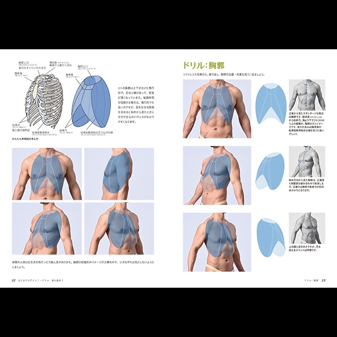はじめてのアナトミードリル 骨の基本 1　－体幹の骨 男性編－