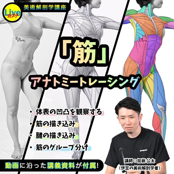 《美術解剖学講座：アナトミートレーシング 筋》 写真（体表）から筋を判別し、描く。解説付きデモ