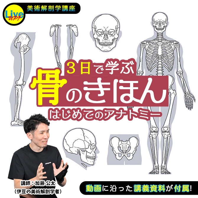 《美術解剖学講座：はじめてのアナトミー　3日で学ぶ「骨のきほん」》 人体の骨格をスリーステップで学ぶ