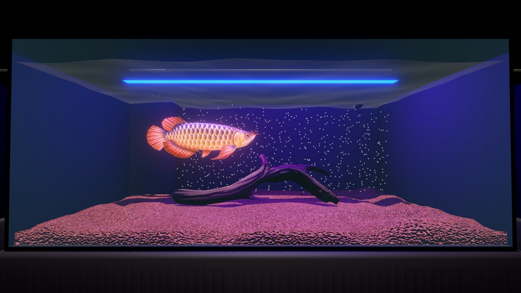【UPDATE : 2026/09/18】アロワナ水槽アセット-Ver2 / Arowana Aquarium Set (Unity URP) – Animated Fish