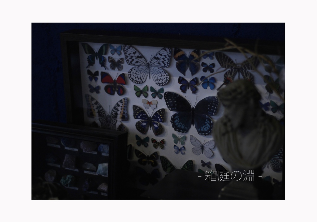 箱庭の淵