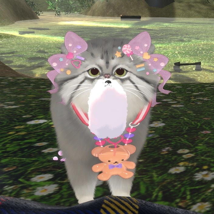 頭の上のココナタ