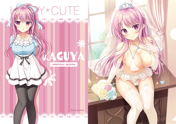 AMBITIOUS MISSION Happy Wedding クリアファイル5枚セット