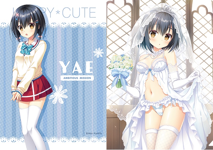 AMBITIOUS MISSION Happy Wedding クリアファイル5枚セット