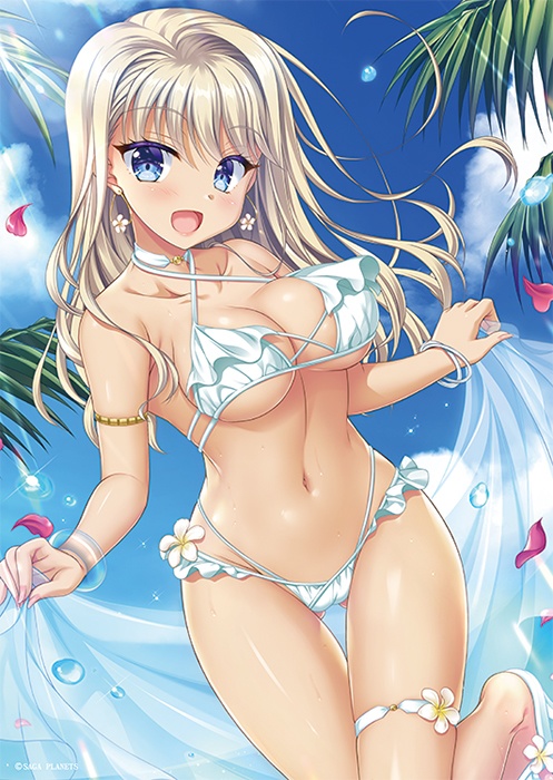 AMBITIOUS MISSION Enjoy Summer B2タペストリー