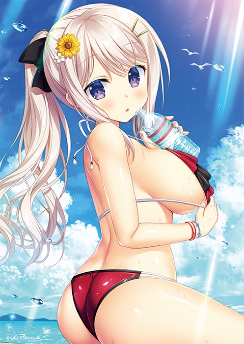 AMBITIOUS MISSION Enjoy Summer B2タペストリー