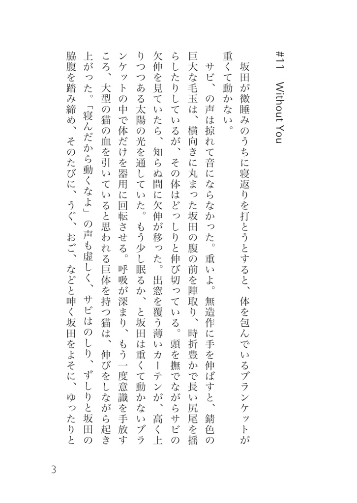 サイダー・ホテル 書き下ろしDL版