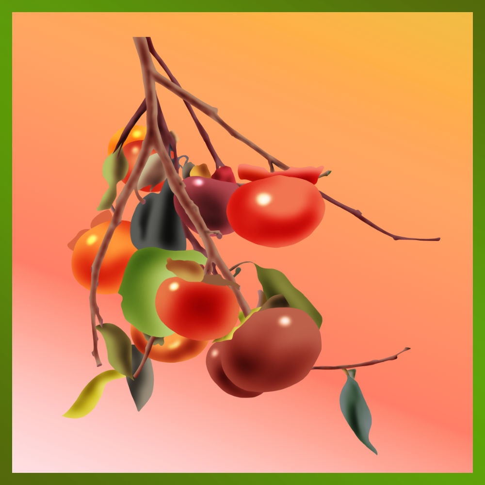 枝のついた柿のイラストの透過（png画像） Transparent illustration of persimmon with branches (png image)  [ClipstudioPAINT Ver.1 OK]