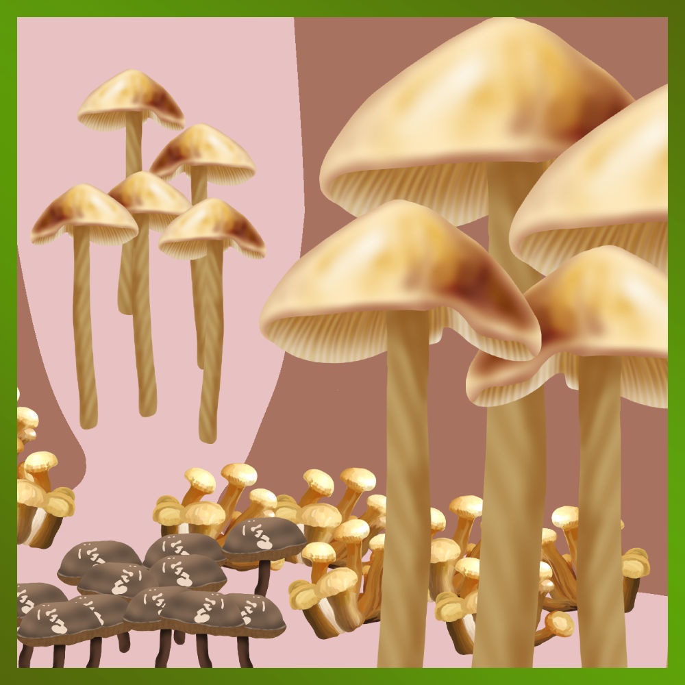 キノコブラシ Mushroom brush  [ClipstudioPAINT Ver.1 OK]
