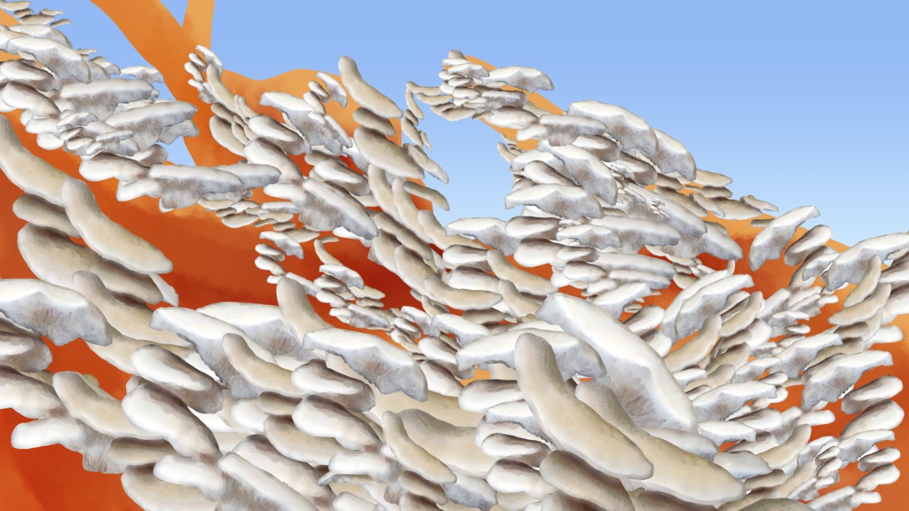 幹につくキノコブラシ