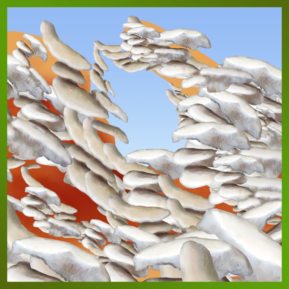 幹につくキノコブラシ Mushroom brush on the trunk [ClipstudioPAINT Ver.1 OK]