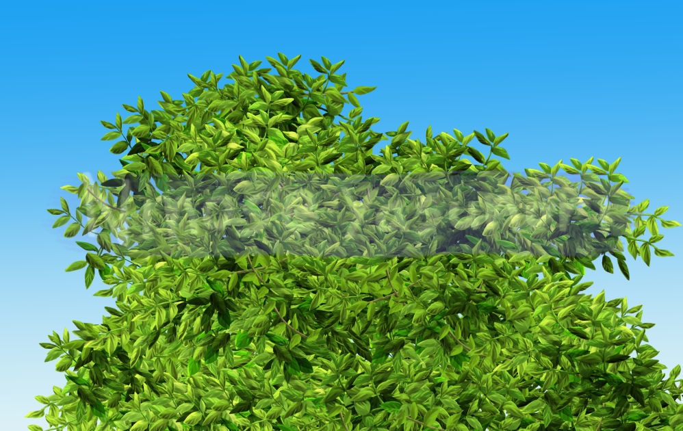 木の葉っぱブラシ nino (Wooden leaf brush nino)