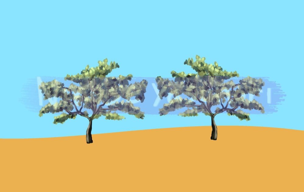 雑木ブラシ nino (Miscellaneous wood brush nino)