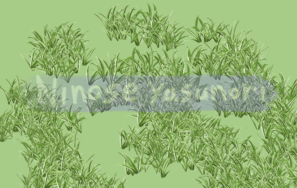 雑草ブラシ2 nino (Weed brush 2 nino)