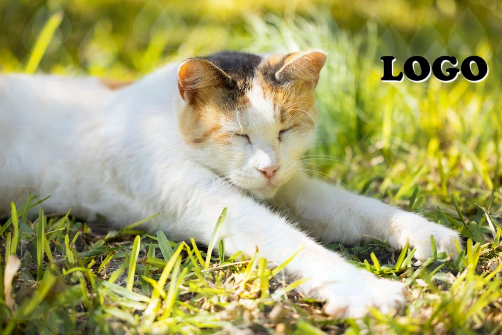 画像署名ツール