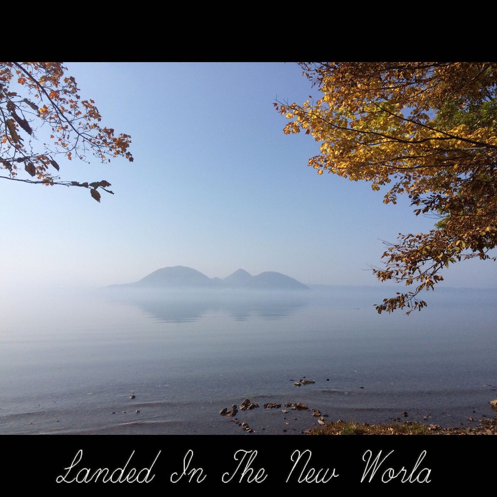 Landed In The New World