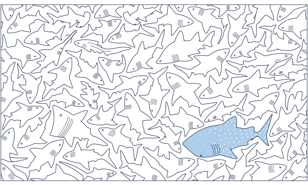 たくさんのサメ・バック