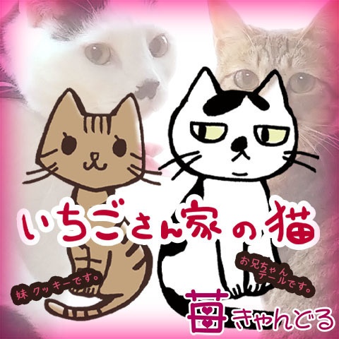 エコバッグ■ねこ