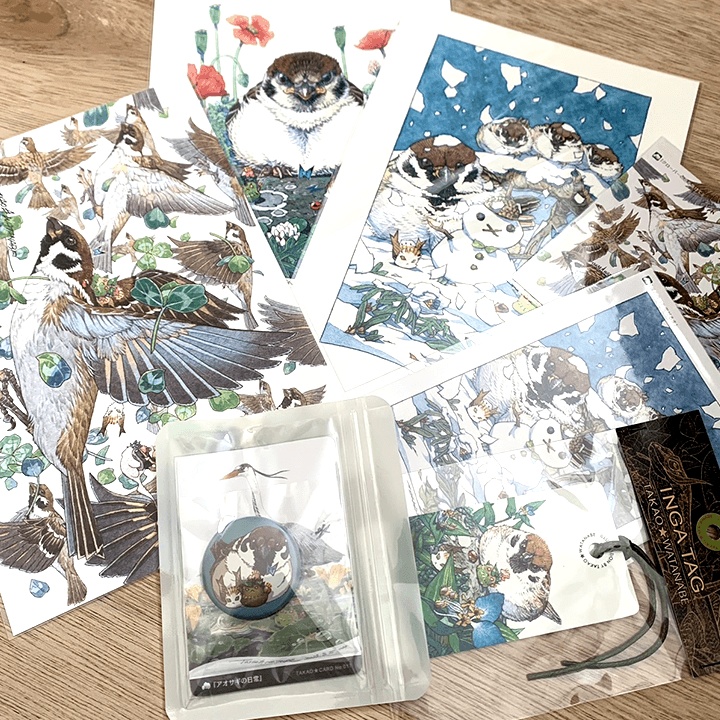 孝夫印画 雀vol.1（送料無料）
