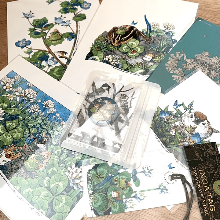 孝夫印画 植物vol.1(送料無料)