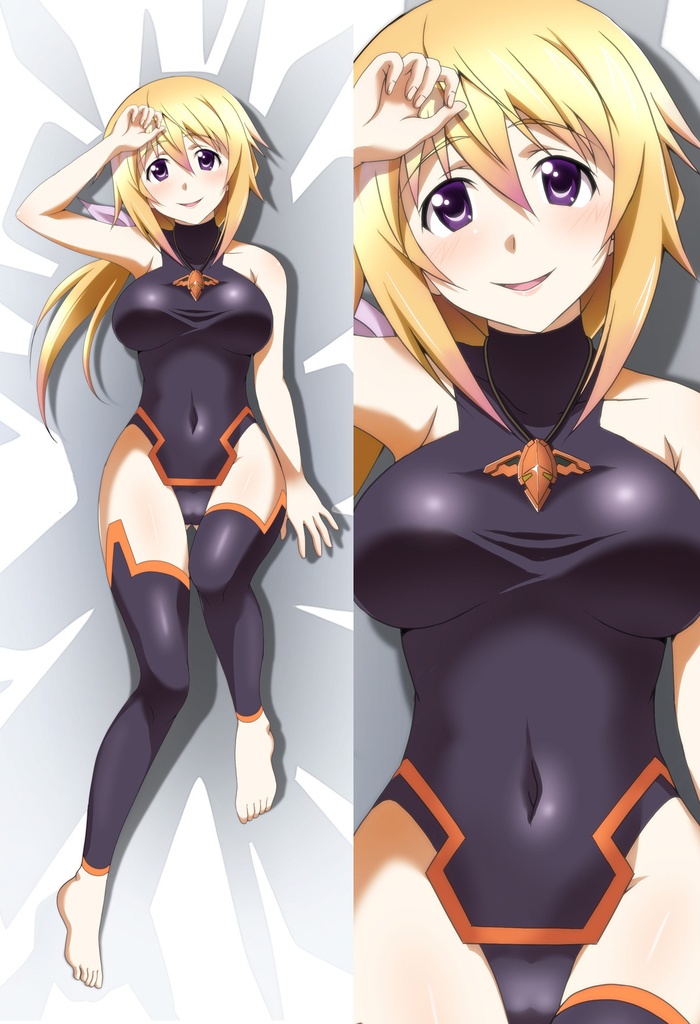 シャルロット・デュノア 抱き枕