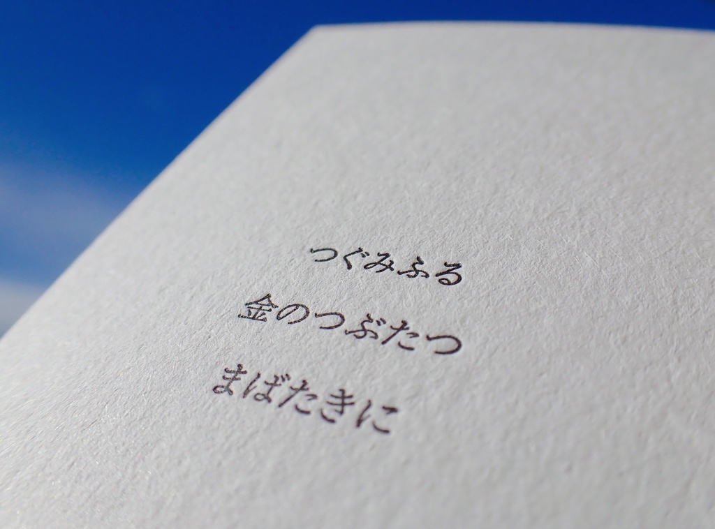 「鳥を三羽と三日月ひとつ」手刷り活版印刷カードセット 草木トキ