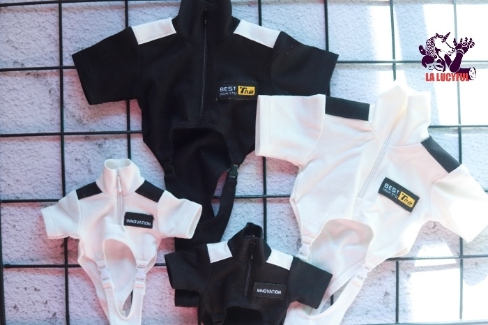 《タイプゼロ》 機能風野球コート