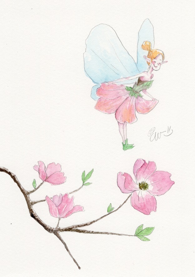 ハナミズキの妖精