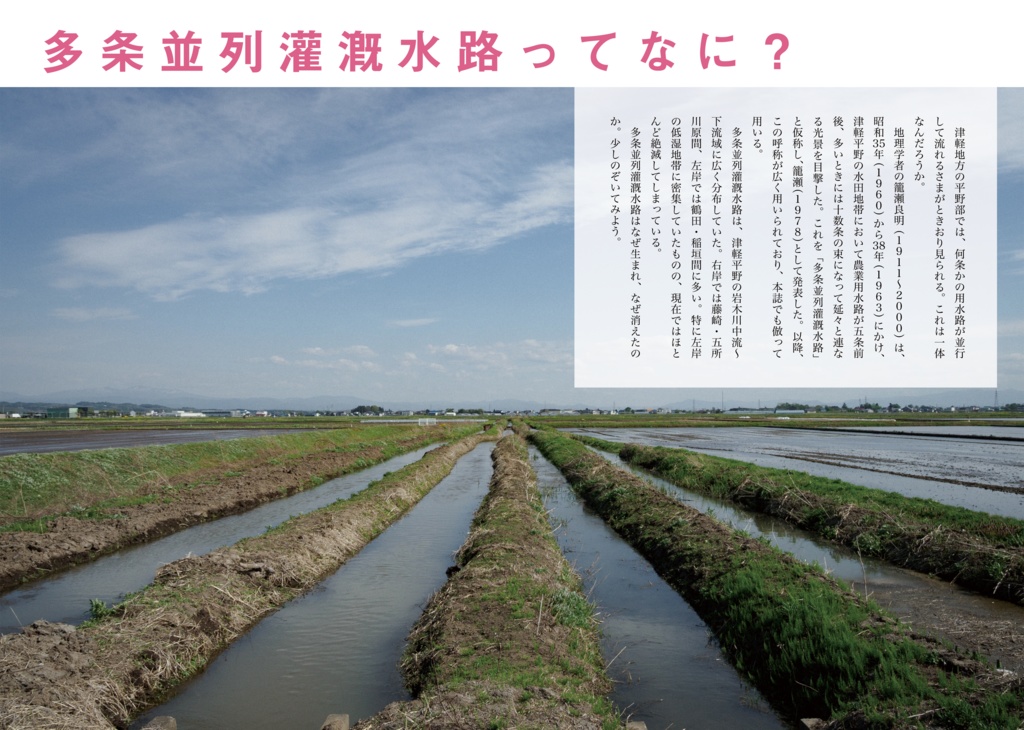 徘徊通信🍥2025穀雨の号