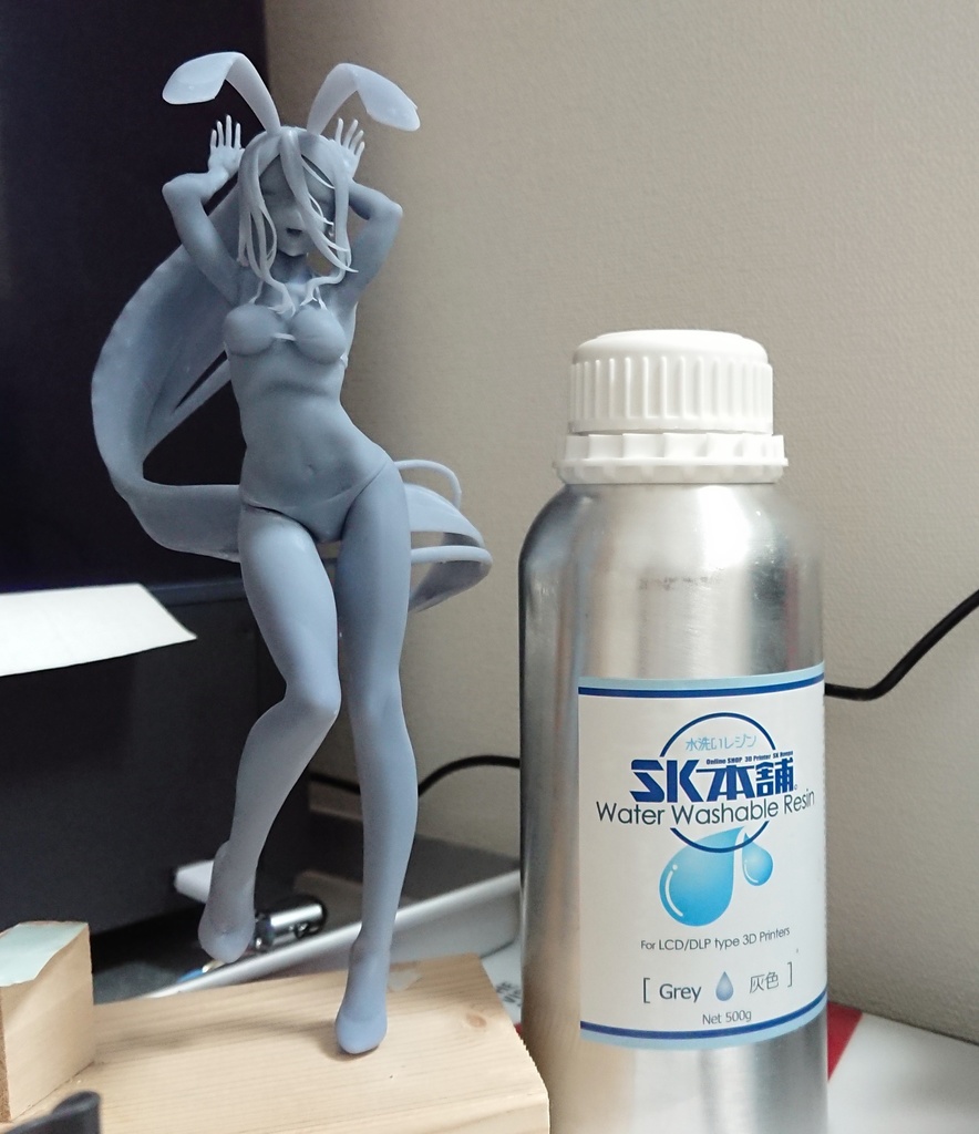 兎美ショーコお姉さん水着ver.のSTLデータ